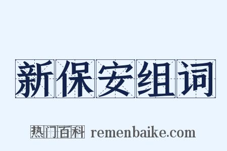 新保安组词是什么意思的图片